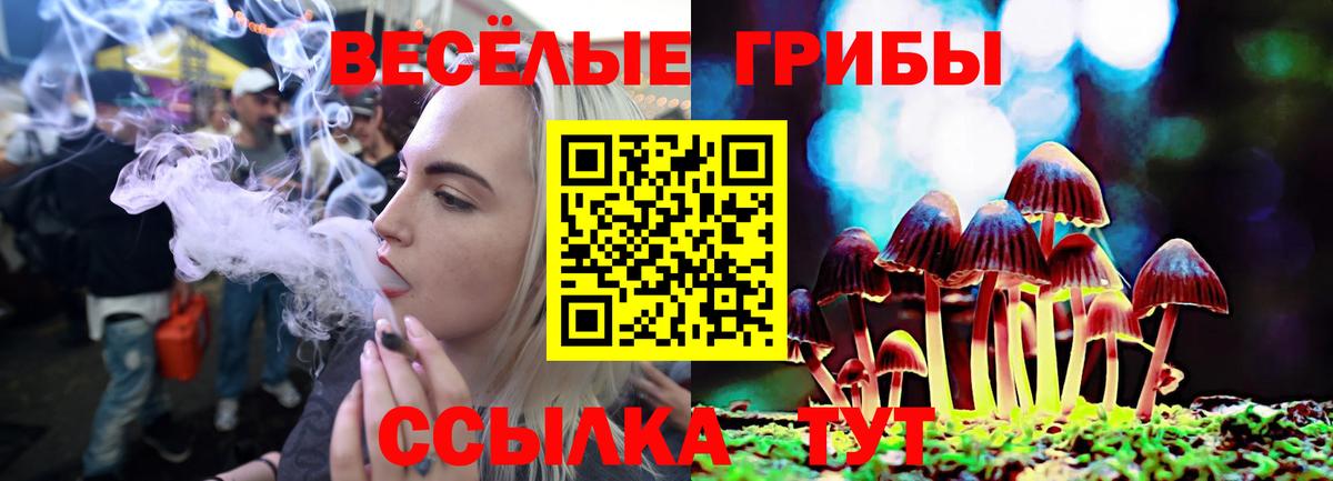 Ливны  Псилоцибиновые грибы MAGIC MUSHROOMS  Псилоцибиновые грибы MAGIC MUSHROOMS  Вход с VPN 