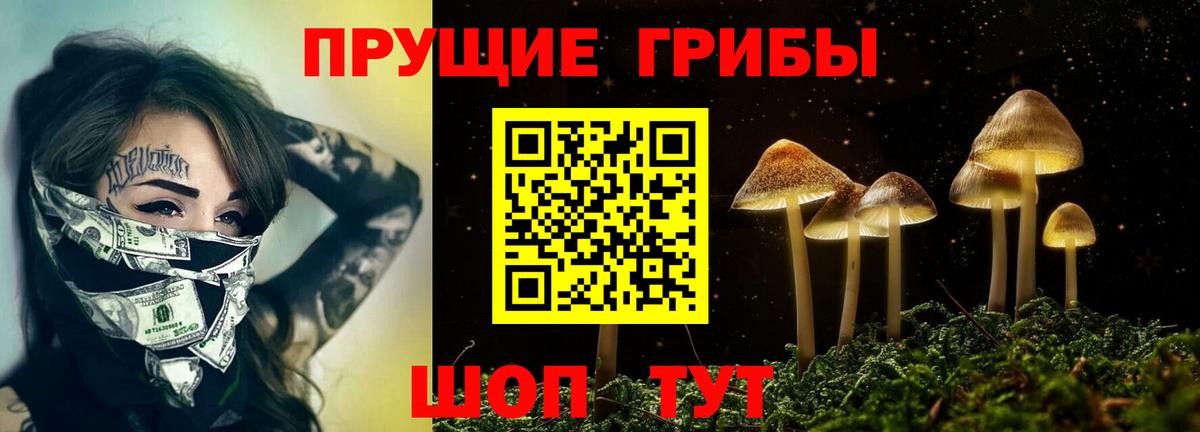 Галлюциногенные грибы MAGIC MUSHROOMS Ливны